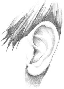 http://www.drawingcoach.com/image-files/ear_drawing_1.jpg